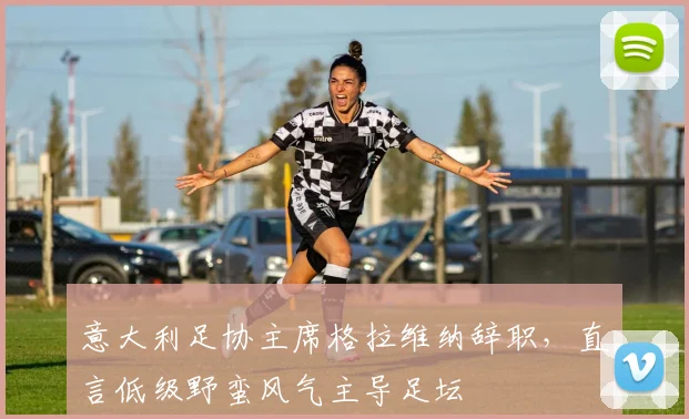 意大利足协主席格拉维纳辞职，直言低级野蛮风气主导足坛