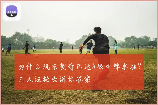为什么说东契奇已达A级中锋水准？三大证据告诉你答案