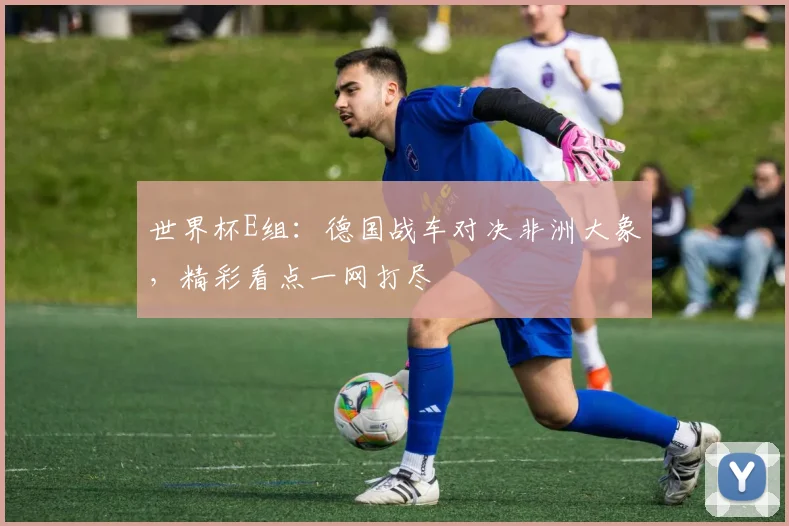 世界杯E组:德国战车对决非洲大象,精彩看点一网打尽