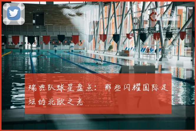 瑞典队球星盘点：那些闪耀国际足坛的北欧之光